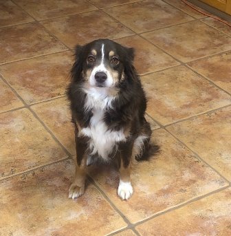 ellie mae1